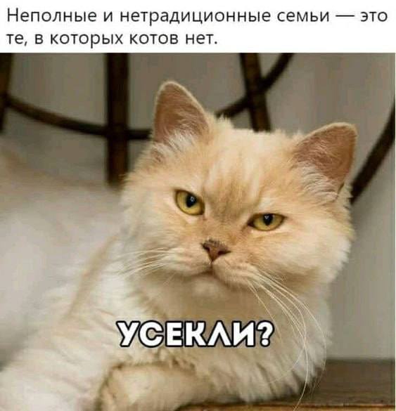  Власти создали демографическую стратегию «семейноцентризма»
